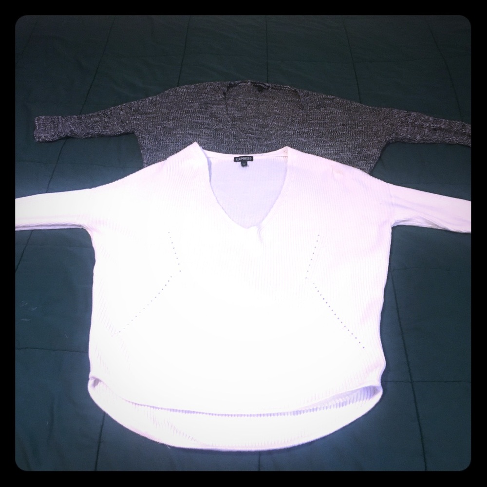 Express bundle of 2 sweaters